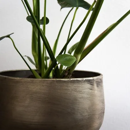 Sandy's Family House For 2 Adults & 2 Children * Zandvoort